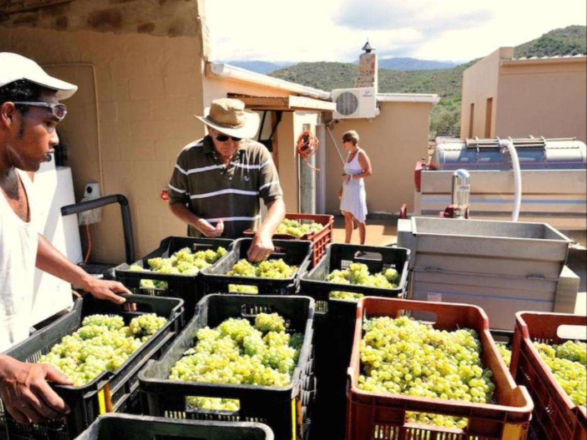 Mymering Wine & Guest Estate Hotel Ladismith Exterior photo