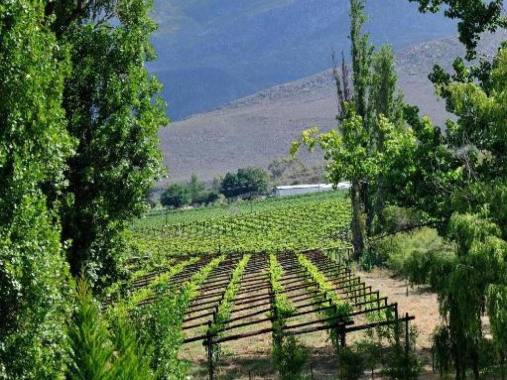 Mymering Wine & Guest Estate Hotel Ladismith Exterior photo